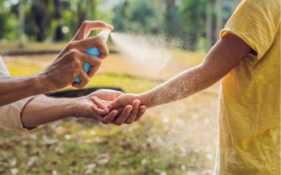 Mosquitoes: Bold, Bitey, & Bothersome!