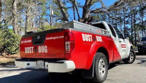 IMG_4971-500 Bust-A-Bug Pest Control Services Truck